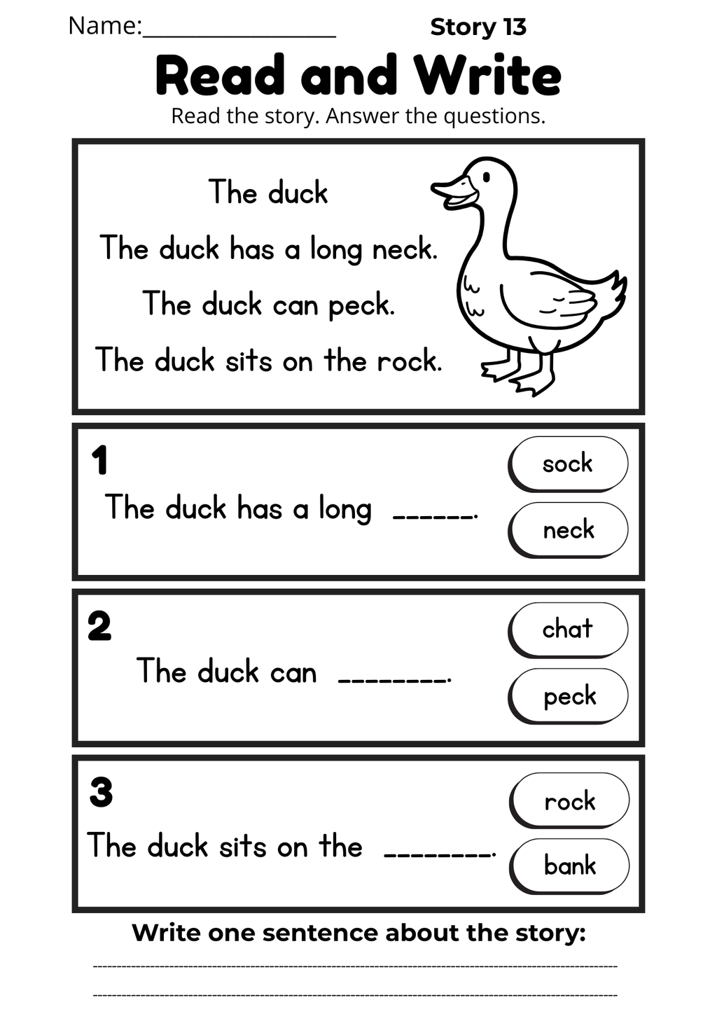 CVC Reading Workbook 15 pages | Printable Phonics Activities