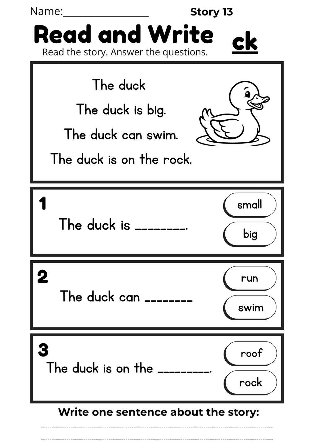 Digraph Reading Workbook 17 pages | Printable Phonics Activities