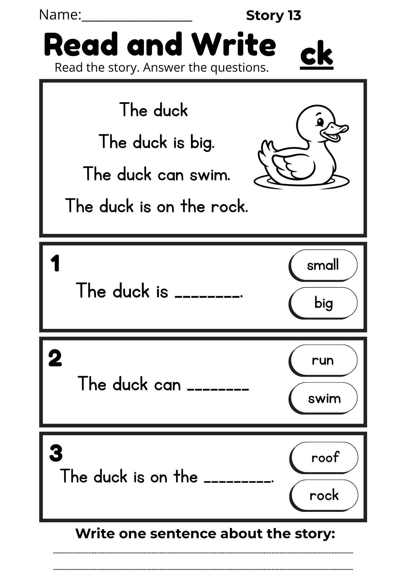 Digraph Reading Workbook 17 pages | Printable Phonics Activities